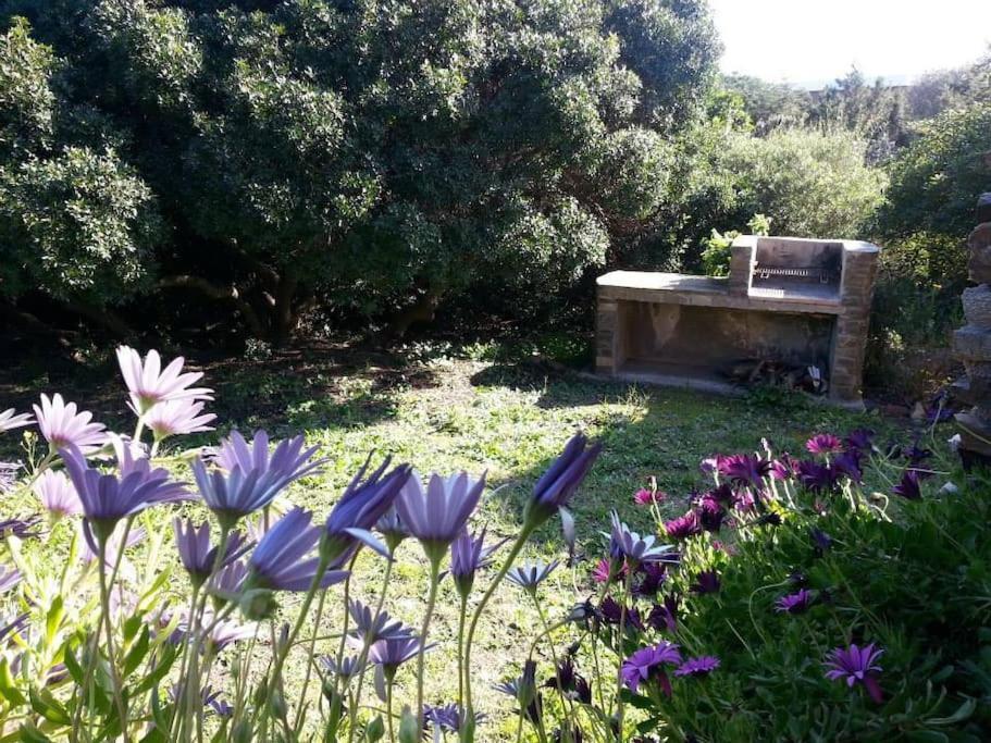 L' Elicriso, A Pochi Passi Dal Mare Con Giardino Privato - The Elicriso, A Few Meters From The Sea, With Private Garden Apartment Stintino Exterior photo