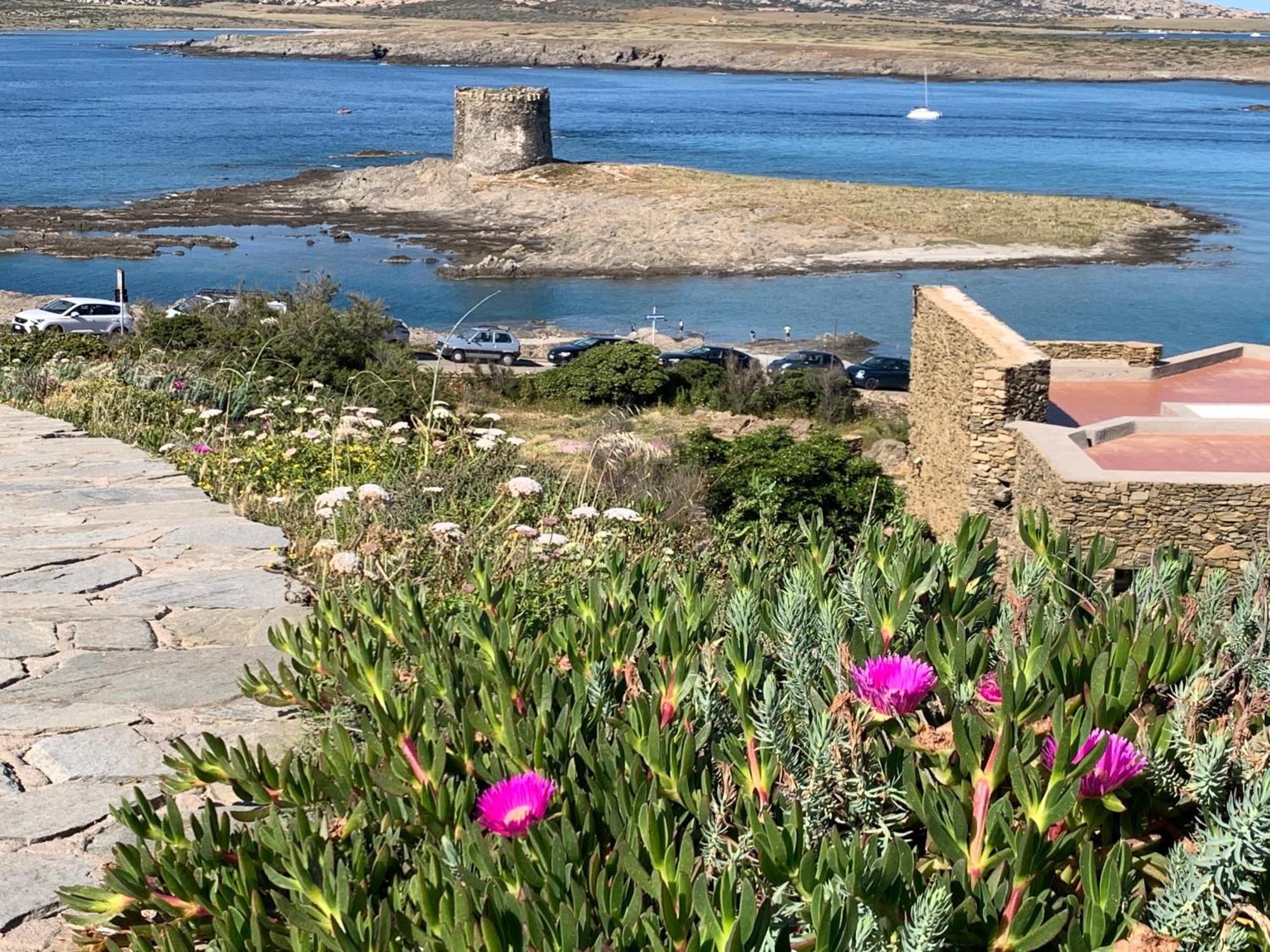 L' Elicriso, A Pochi Passi Dal Mare Con Giardino Privato - The Elicriso, A Few Meters From The Sea, With Private Garden Apartment Stintino Exterior photo